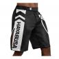 Preview: Hayabusa Icon Fight Shorts schwarz