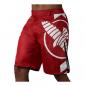 Preview: Hayabusa Icon Fight Shorts rot